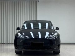 Tesla Model Y Rear-Wheel Drive - ფოტო 2