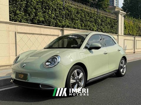 2022 ORA Good Cat Morandi Edition 400km Standard Range Deluxe Type LFP Battery - ავტომობილი ჩინეთიდან