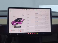 Tesla Model 3 2022 Rear-Wheel Drive - ფოტო 14