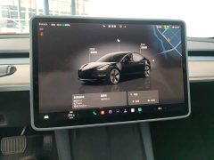 Tesla Model 3 2022 Rear-Wheel Drive - ფოტო 14