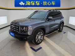 Great Wall Dachshund 1.5T DCT Two-Wheel Drive Malinois Edition - ფოტო 1