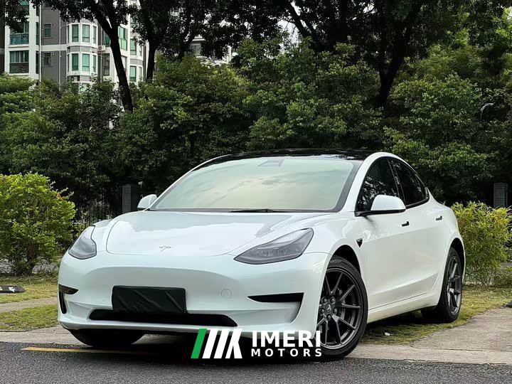 Tesla Model 3 Standard Range RWD Upgrade - ავტომობილი ჩინეთიდან
