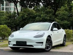 Tesla Model 3 Standard Range RWD Upgrade - ფოტო 1