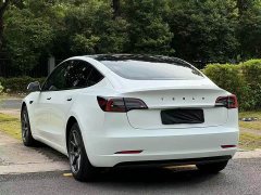 Tesla Model 3 Standard Range RWD Upgrade - ფოტო 11
