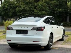 Tesla Model 3 Standard Range RWD Upgrade - ფოტო 12