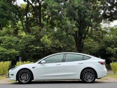 Tesla Model 3 Standard Range RWD Upgrade - ფოტო 3