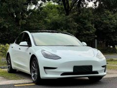 Tesla Model 3 Standard Range RWD Upgrade - ფოტო 4