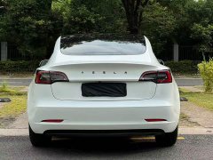 Tesla Model 3 Standard Range RWD Upgrade - ფოტო 5