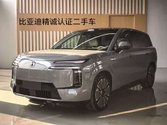 Denza BYD Denza N8L Flagship - ფოტო 1