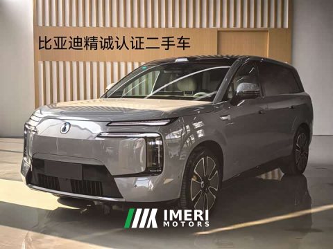 2025 Denza BYD Denza N8L Flagship - ავტომობილი ჩინეთიდან