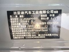 Denza BYD Denza N8L Flagship - ფოტო 20
