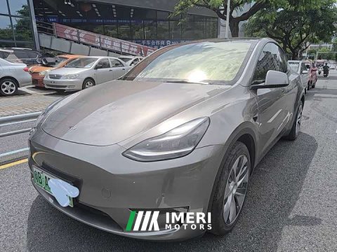 2021 Tesla Model Y Standard Range RWD - ავტომობილი ჩინეთიდან