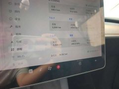 Tesla Model Y Standard Range RWD - ფოტო 13