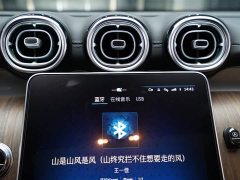 Mercedes-Benz GLC 300 L 4MATIC Dynamic 7-Seater - ფოტო 8