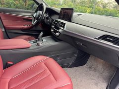 BMW 5 Series Facelift 530Li Premier M Sport Package - ფოტო 11