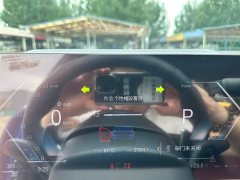 BMW 3 Series 320Li M Sport Package - ფოტო 12