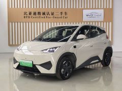 BYD Seagull 305km Freedom Edition - ფოტო 1