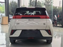 BYD Seagull 305km Freedom Edition - ფოტო 11
