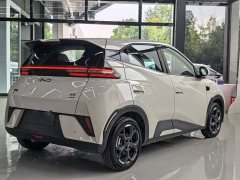 BYD Seagull 305km Freedom Edition - ფოტო 12