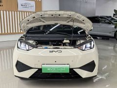 BYD Seagull 305km Freedom Edition - ფოტო 19