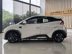 BYD Seagull 305km Freedom Edition - ფოტო 7