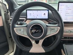 BYD Seagull 305km Freedom Edition - ფოტო 8