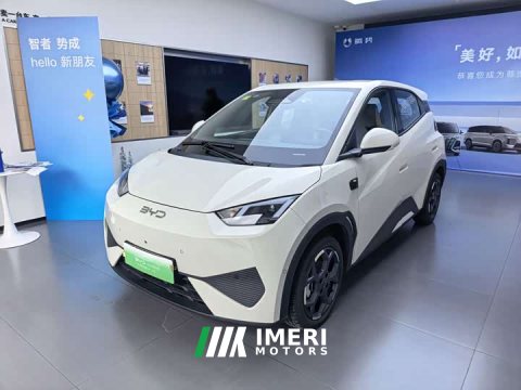 2025 BYD Seagull Smart Drive 405km Flight Edition - ავტომობილი ჩინეთიდან