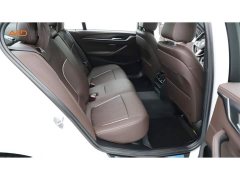 BMW 5 Series Facelift 530Li Premier M Sport Package - ფოტო 8