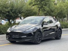 Tesla Model Y Long Range All-Wheel Drive - ფოტო 1