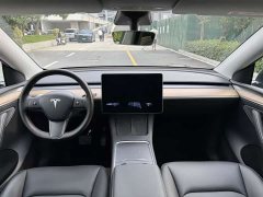Tesla Model Y Long Range All-Wheel Drive - ფოტო 10