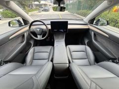 Tesla Model Y Long Range All-Wheel Drive - ფოტო 11