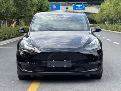 Tesla Model Y Long Range All-Wheel Drive - ფოტო 2