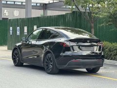 Tesla Model Y Long Range All-Wheel Drive - ფოტო 6