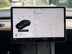 Tesla Model Y Long Range All-Wheel Drive - ფოტო 8