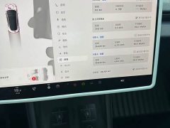 Tesla Model 3 Rear-Wheel Drive - ფოტო 15