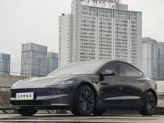 Tesla Model 3 2023 Rear-Wheel Drive - ფოტო 1