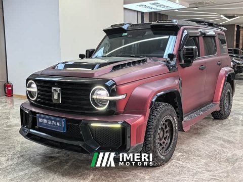 2024 Tank 300 2.0T Conqueror - ავტომობილი ჩინეთიდან