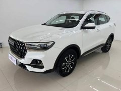 Haval H6 National Trend Edition 1.5T Automatic Urban Version - ფოტო 1