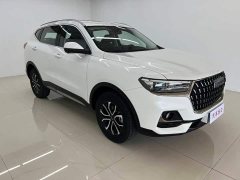 Haval H6 National Trend Edition 1.5T Automatic Urban Version - ფოტო 3