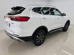 Haval H6 National Trend Edition 1.5T Automatic Urban Version - ფოტო 4