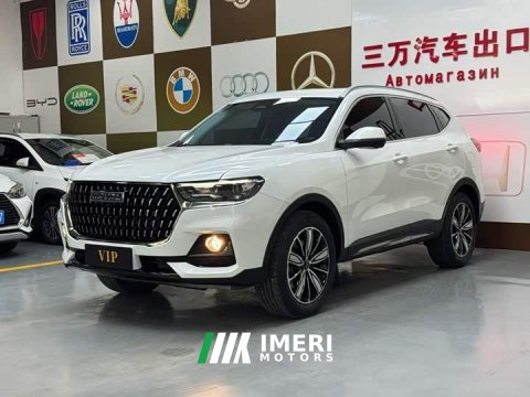 2023 Haval H6 National Trend Edition 1.5T Automatic Champion Version - ავტომობილი ჩინეთიდან