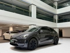 Tesla Model Y Rear-Wheel Drive - ფოტო 1