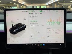 Tesla Model Y Rear-Wheel Drive - ფოტო 10