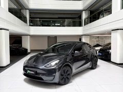 Tesla Model Y Rear-Wheel Drive - ფოტო 4