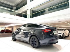 Tesla Model Y Rear-Wheel Drive - ფოტო 5