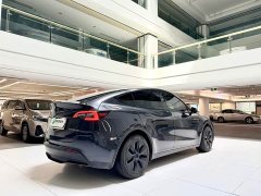 Tesla Model Y Rear-Wheel Drive - ფოტო 6