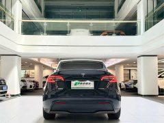 Tesla Model Y Rear-Wheel Drive - ფოტო 9