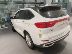 Haval M6 2021 PLUS 1.5T DCT Luxury Smart Connected Edition - ფოტო 3