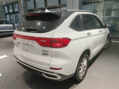 Haval M6 2021 PLUS 1.5T DCT Luxury Smart Connected Edition - ფოტო 4