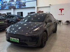 Tesla Model Y Rear-Wheel Drive - ფოტო 3